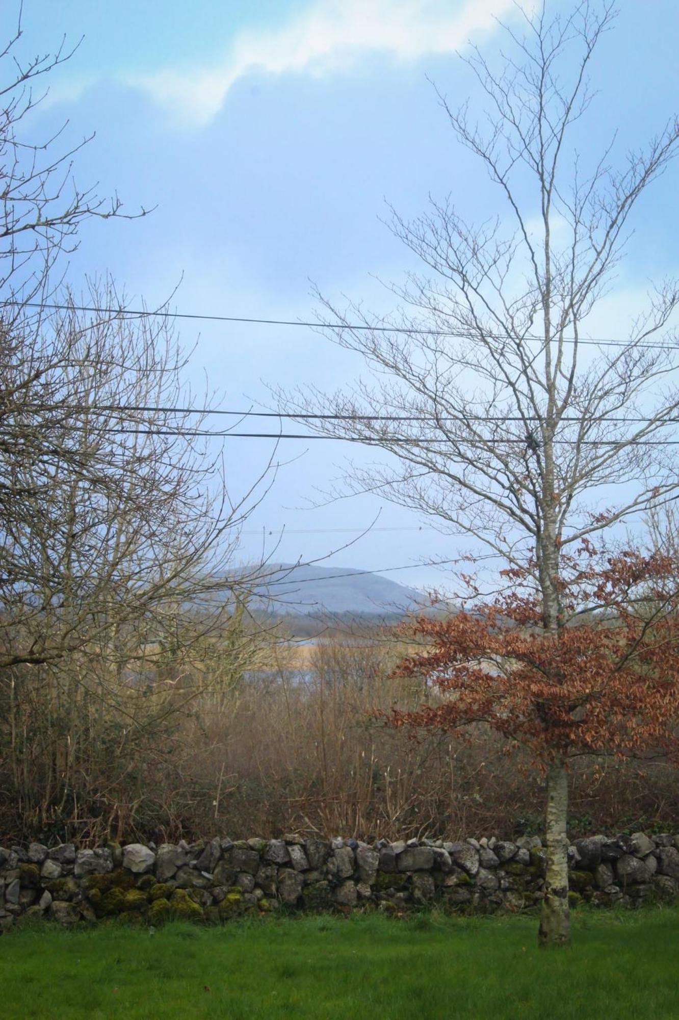 Riverside Cottage In The Burren Corofin  Εξωτερικό φωτογραφία