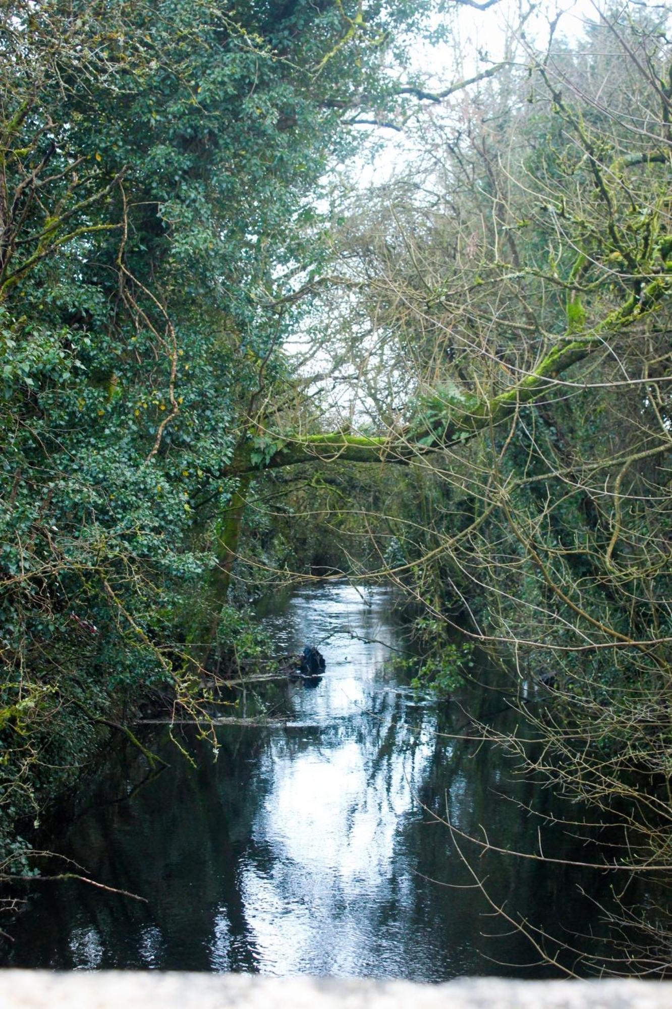 Riverside Cottage In The Burren Corofin  Εξωτερικό φωτογραφία